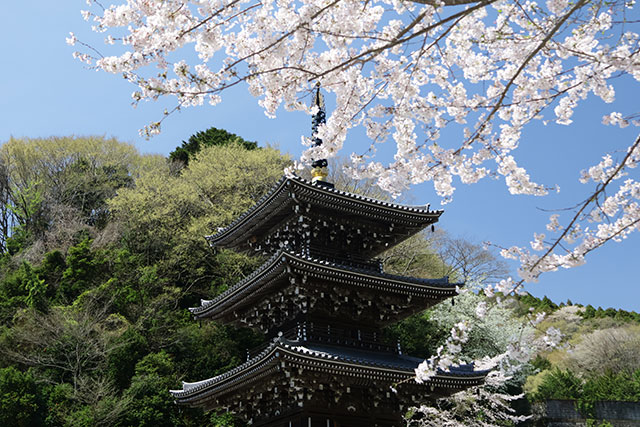 画像：浄発願寺の様子