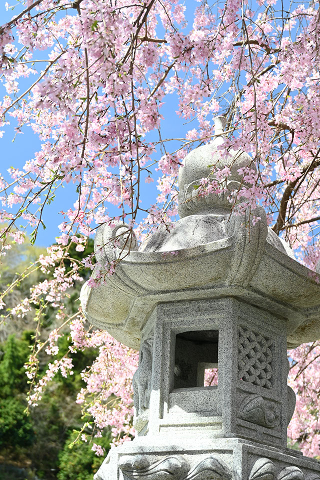 画像：浄発願寺の様子