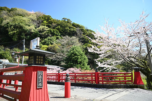 画像：大山の様子