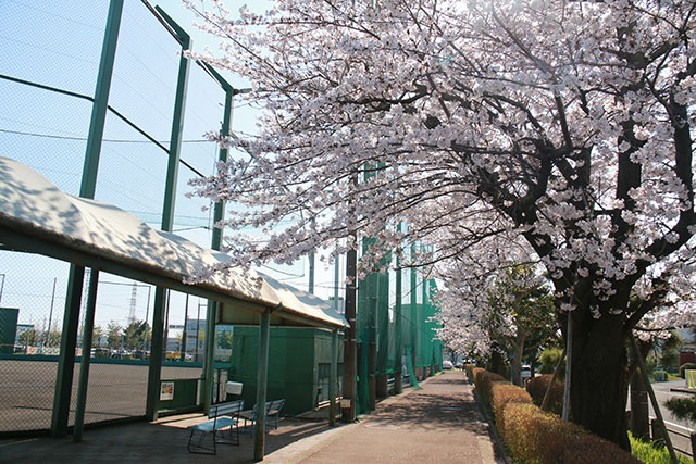 画像：鈴川公園の様子