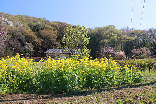 画像：塔の山緑地公園の様子