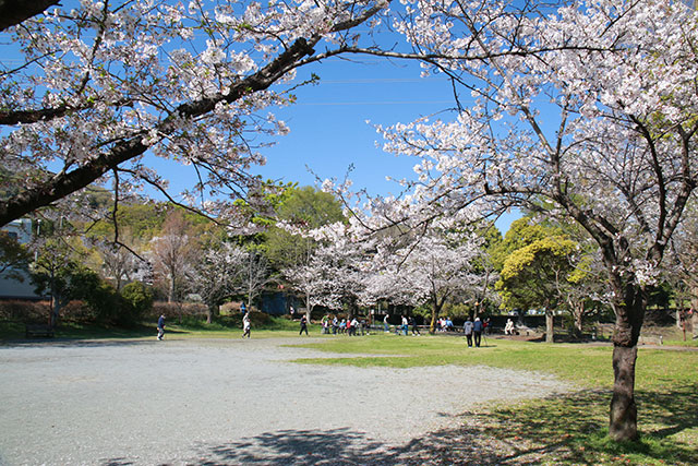 画像：谷戸岡公園の様子