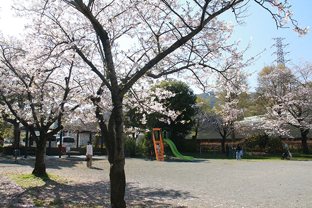 画像：谷戸岡公園の様子
