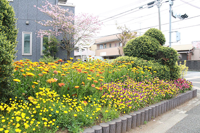 画像：市内の花の様子