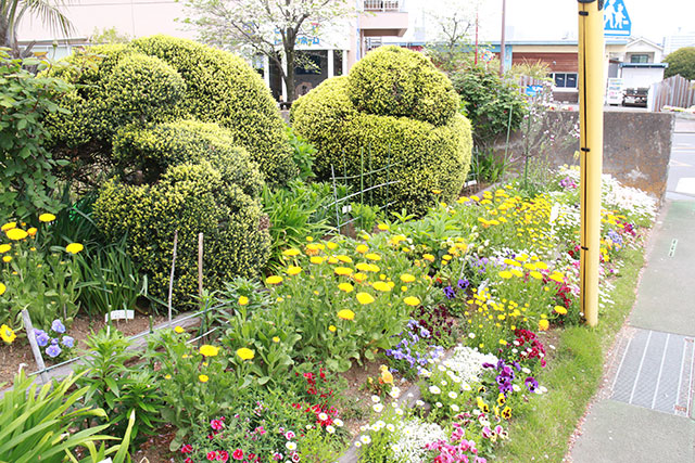 画像：市内の花の様子