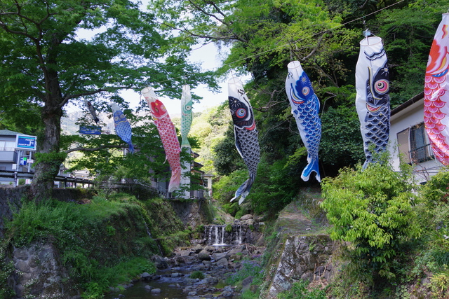 鯉のぼり_2