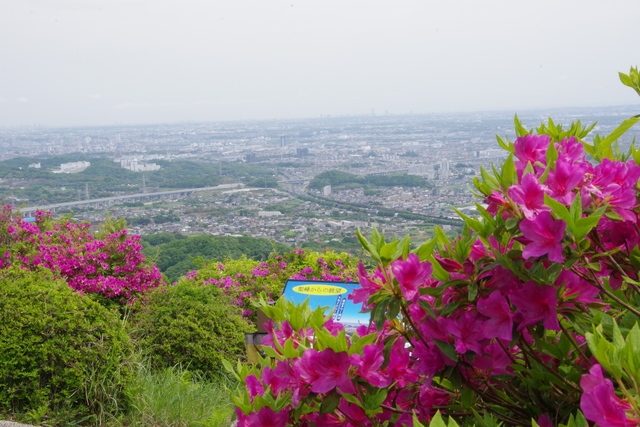 比々多地区のおすすめ散策7