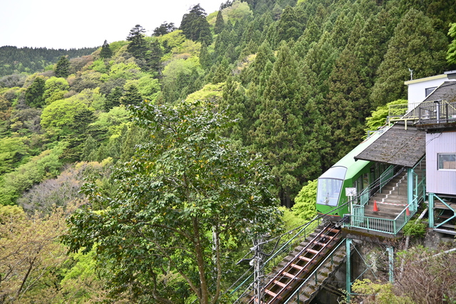 新緑の大山10