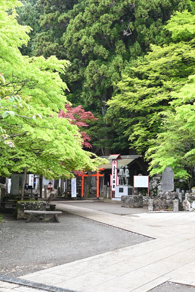 新緑の大山4
