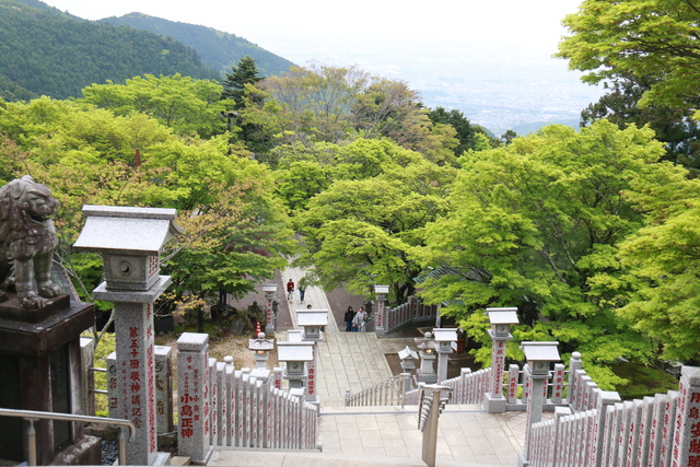 新緑の大山6