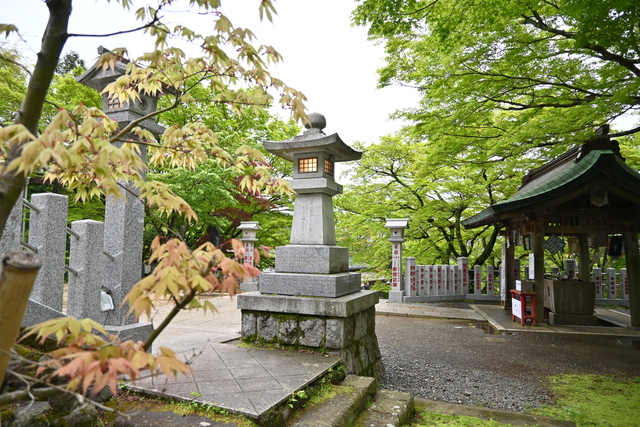 新緑の大山8