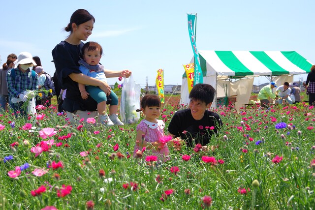 れんげ祭り09