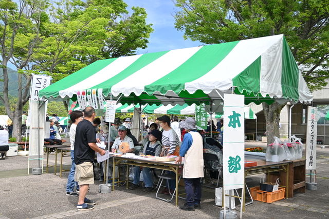 公園緑花まつり15
