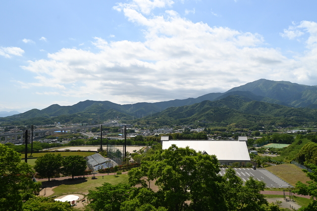総合運動公園11