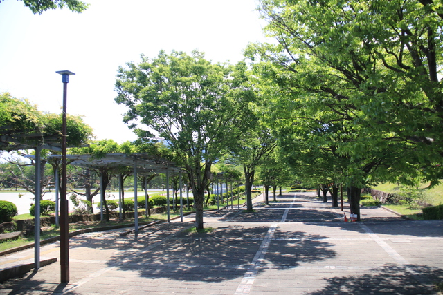 総合運動公園2