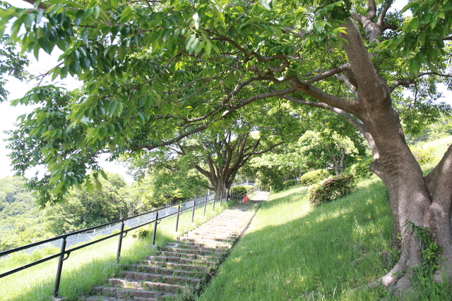 総合運動公園7