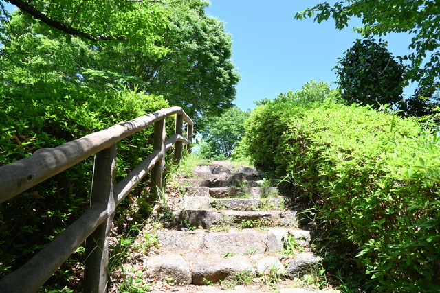 総合運動公園8