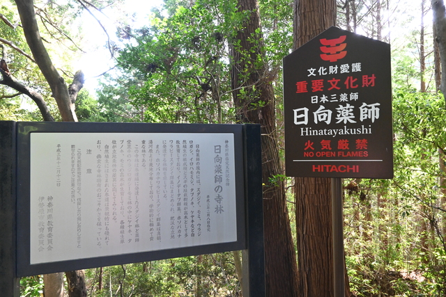 日向薬師5