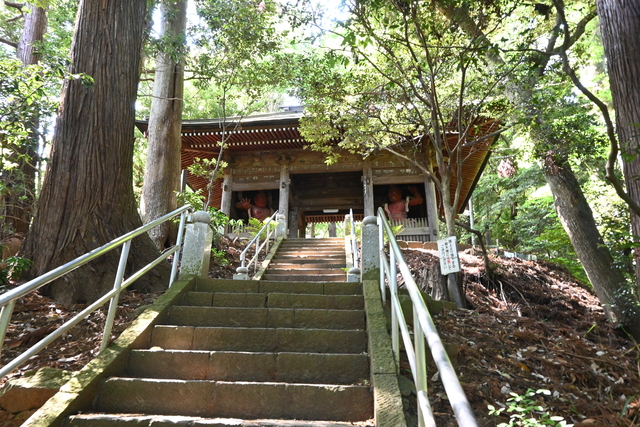 日向薬師6