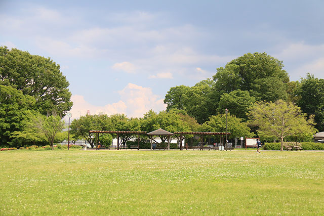 丸山城趾公園