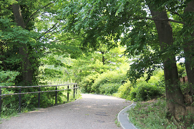 丸山城趾公園