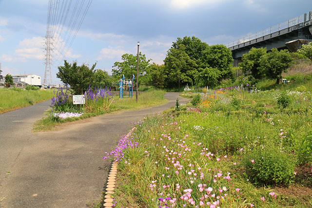 北ノ根公園