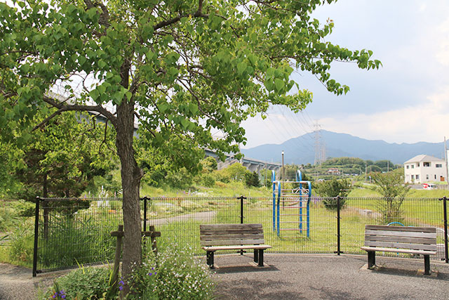 北ノ根公園