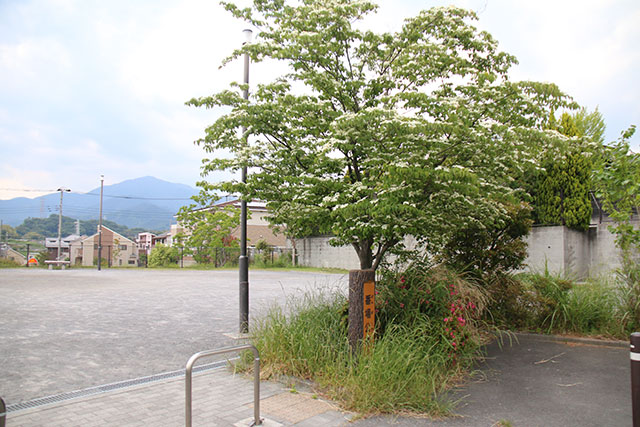 番場公園