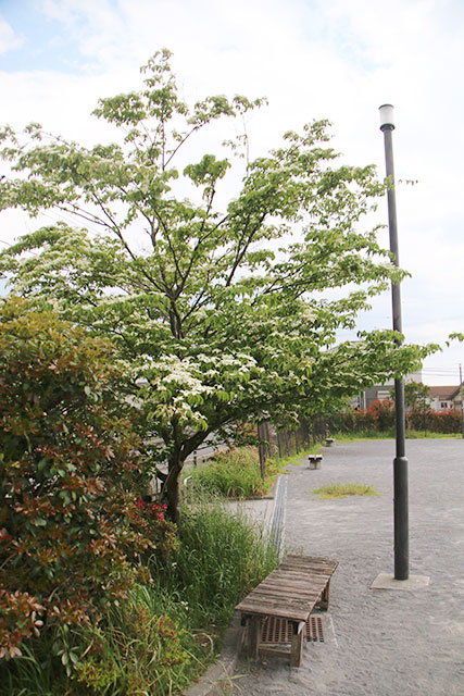 番場公園