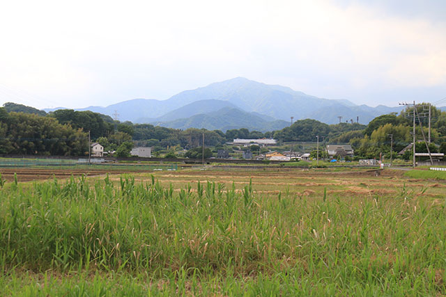 粟窪地区からの大山