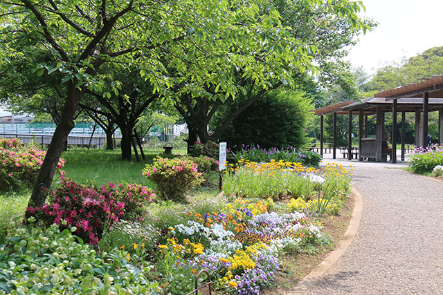 丸山城趾公園