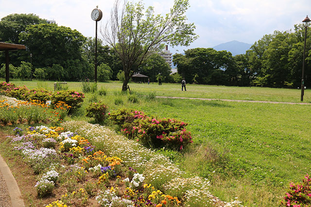 丸山城趾公園