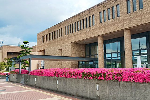 画像：市役所周辺のサツキの様子
