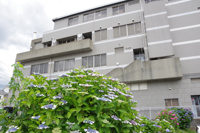 中央公民館おすすめ散策