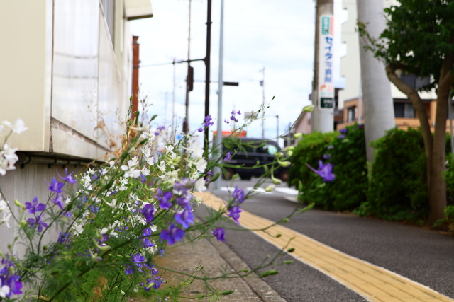 中央公民館おすすめ散策11
