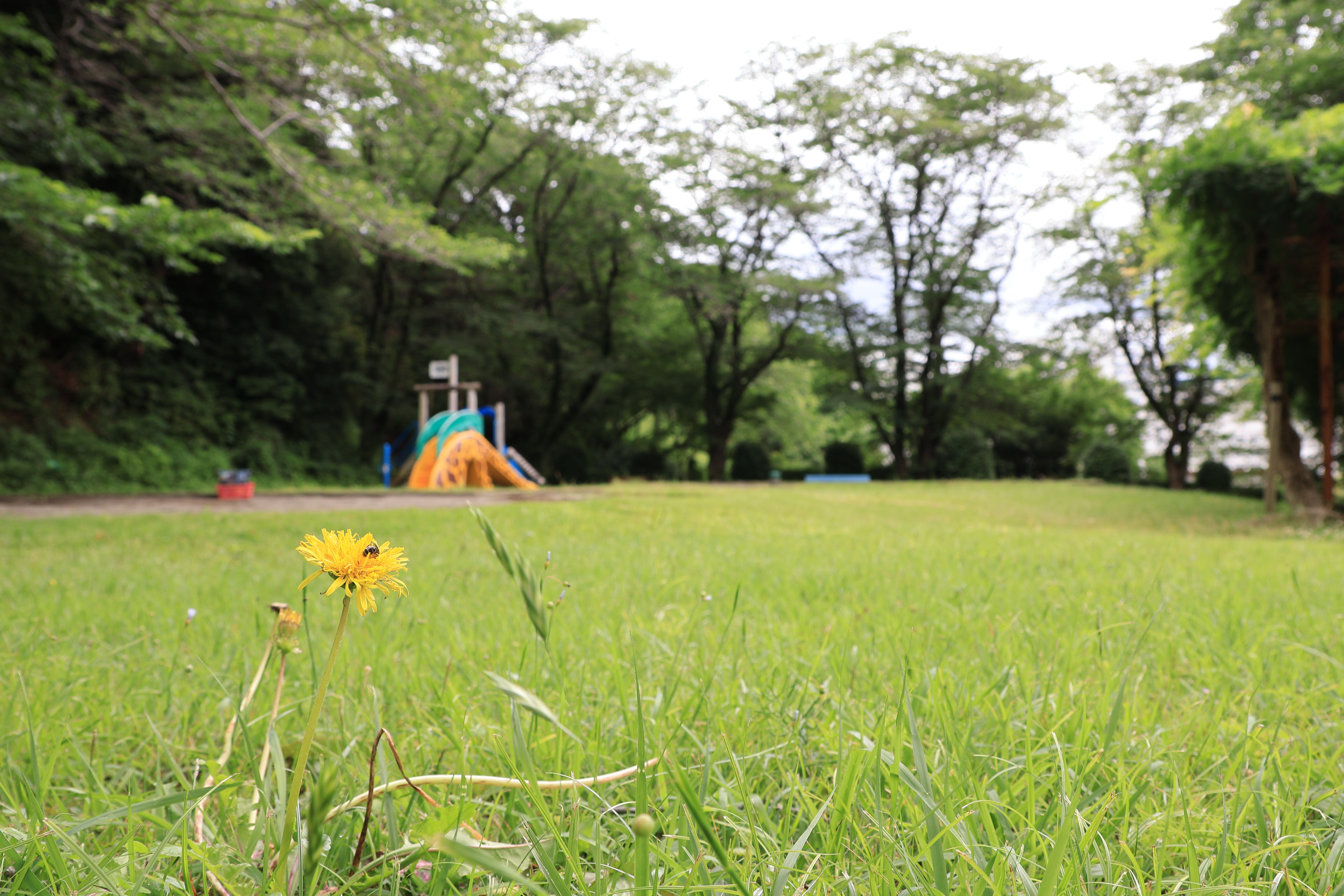 ふじやま公園2