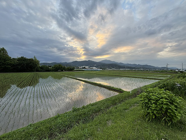 夕暮れの大山の様子