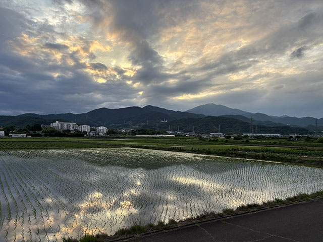 画像：夕暮れの大山の様子