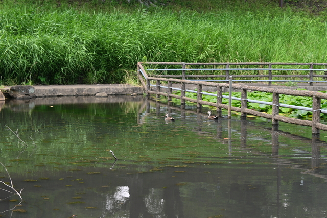 谷戸岡公園