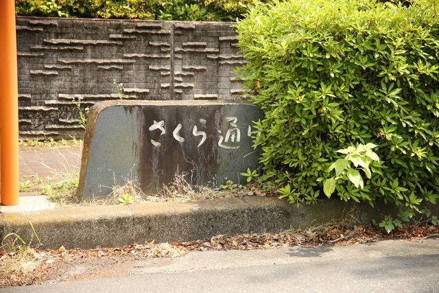 さくら通り