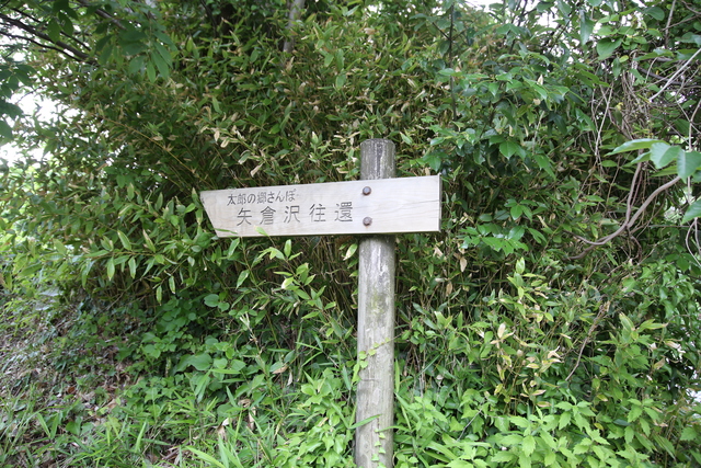 矢倉沢往還