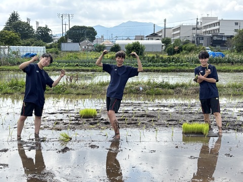 田植えの様子3