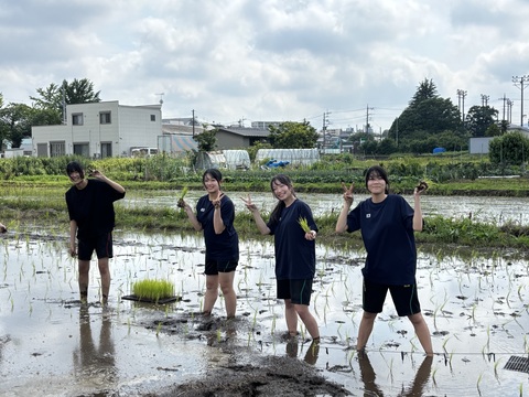 田植えの様子4