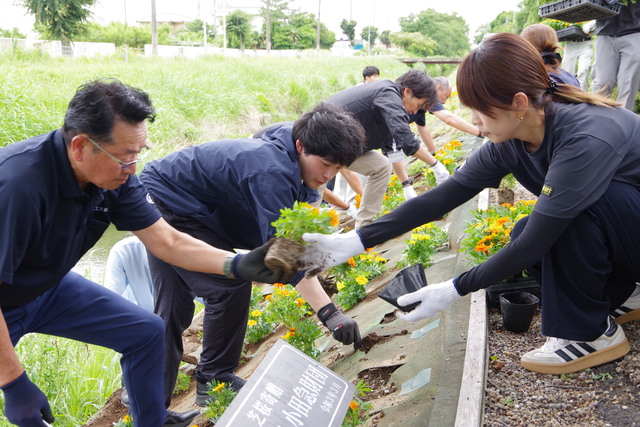 渋田川河畔でマリーゴールドの植栽活動10