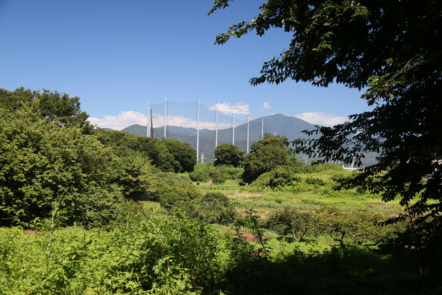 6 画像:おすすめ散策~岡崎地区~