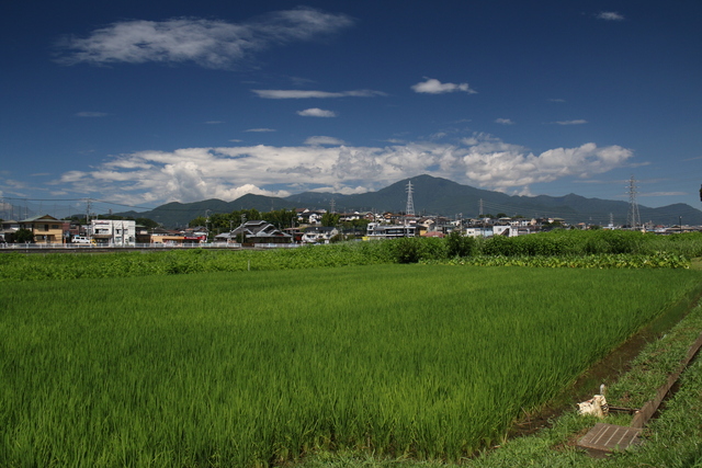 20 画像:おすすめ散策~岡崎地区~