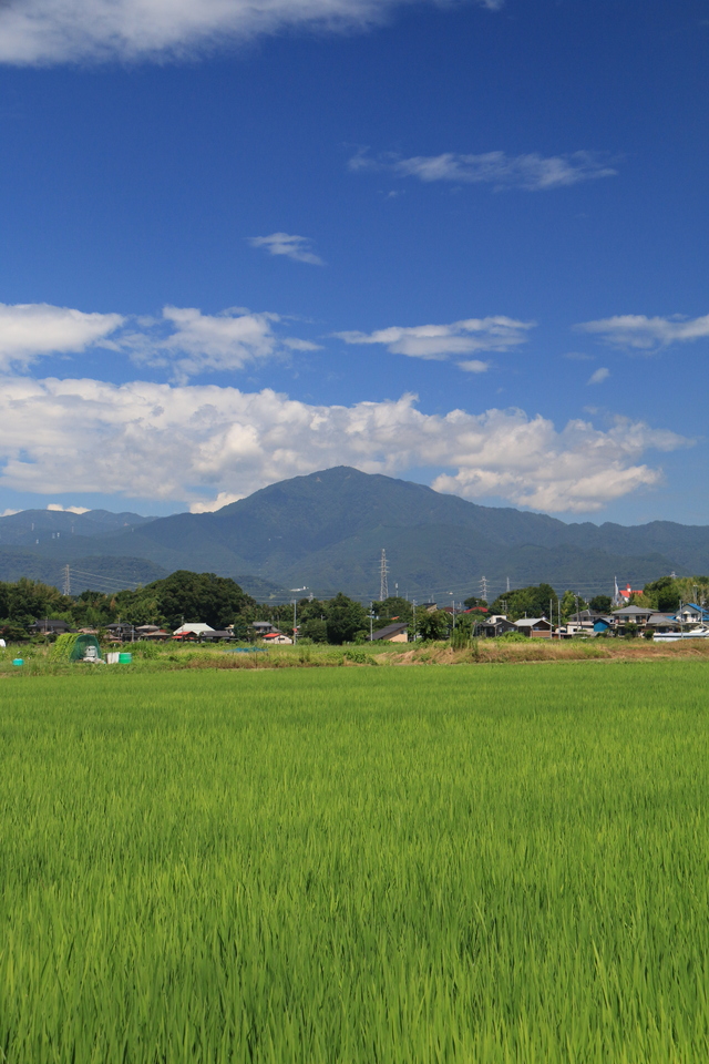 画像：夏空と大山