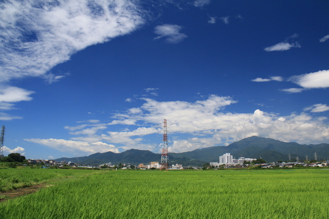 画像：夏空と大山