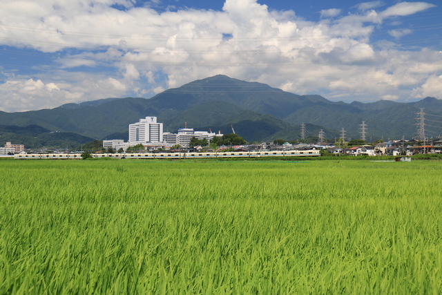 画像：夏空と大山