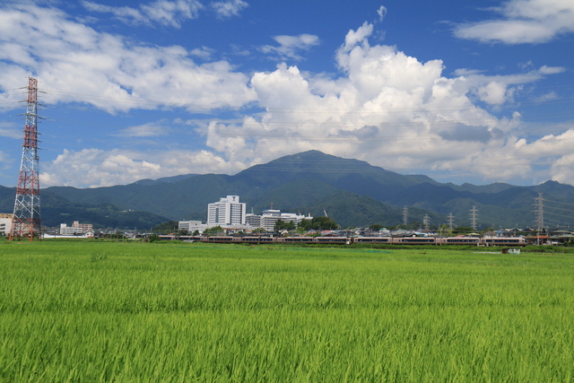 画像：夏空と大山